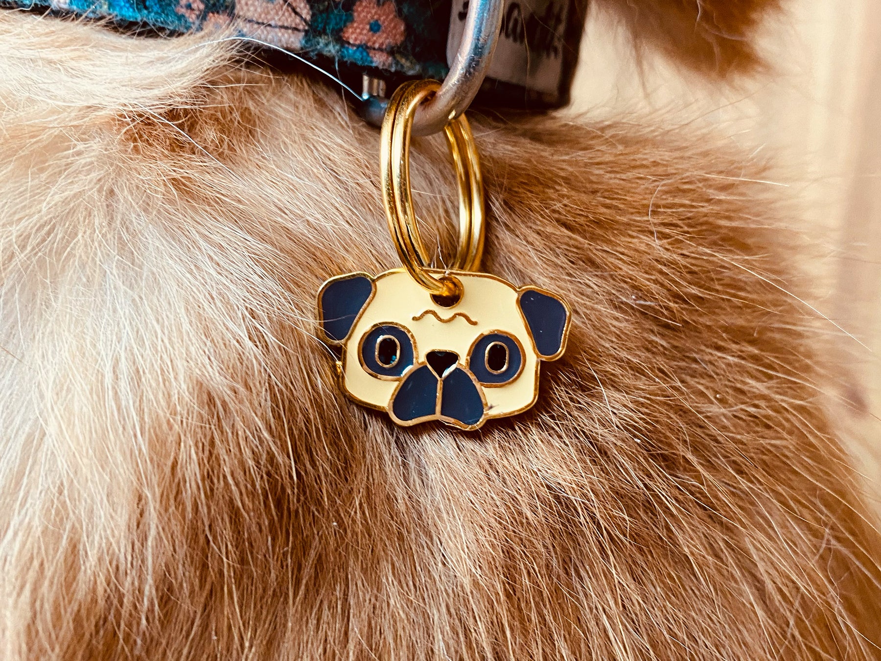 bandit-m-daille-carlin-m-daille-chien-motif-pug image 2