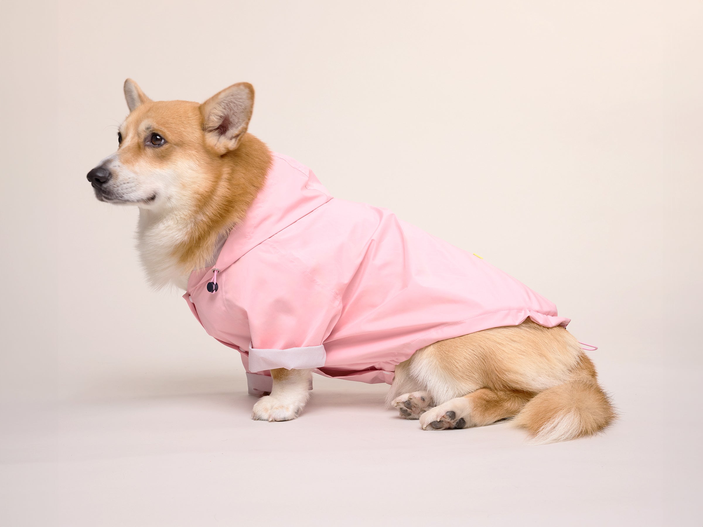 bandit-bubblegum-imperm-able-chien-rose-capuche-harnais image 7
