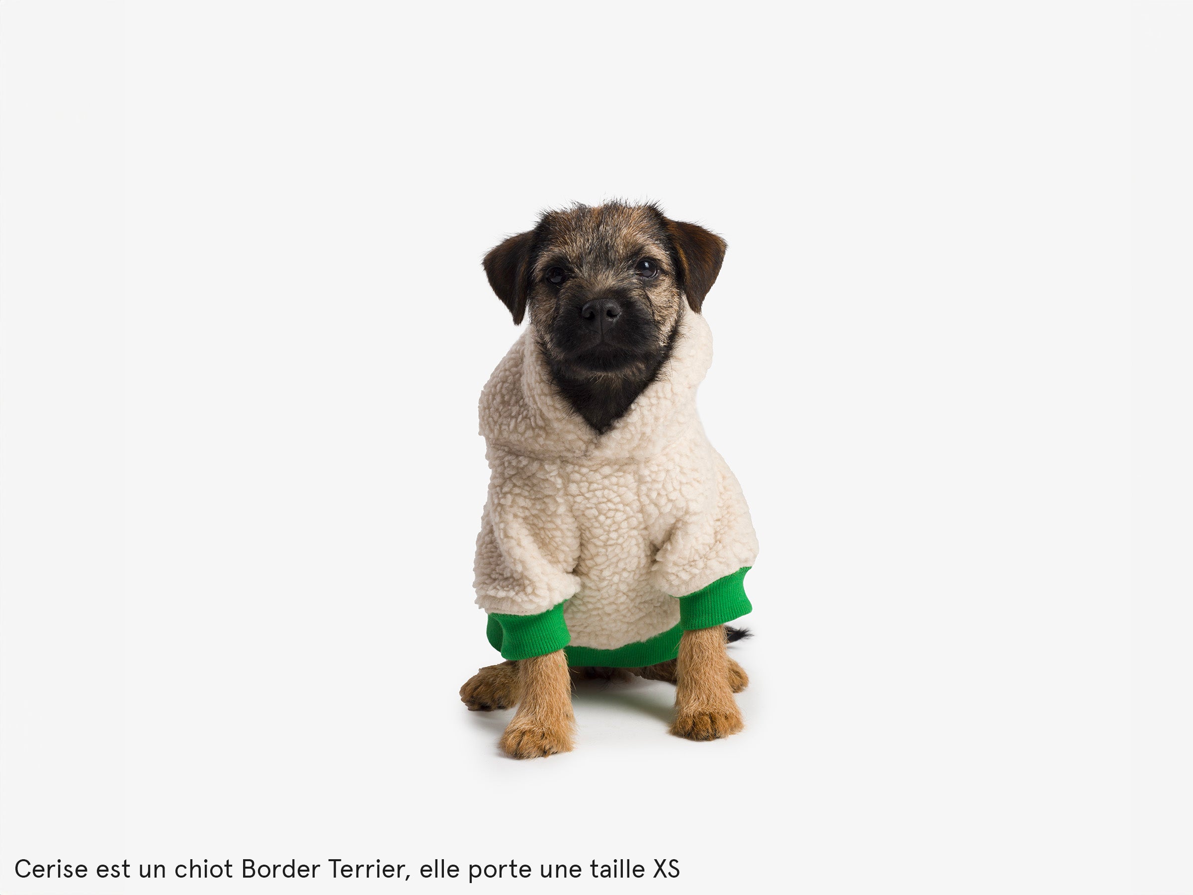 bandit-v-tements-hoodie-sherpa-pull-chien-bleu-everest-m-chaud image 8