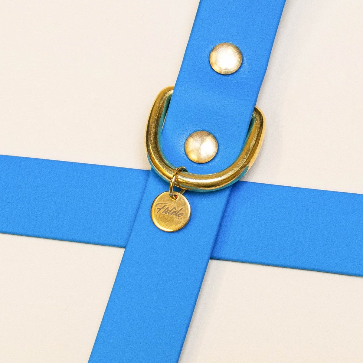 fid-le-paris-l-aventurier-collier-chien-bleu-lectrique image 3