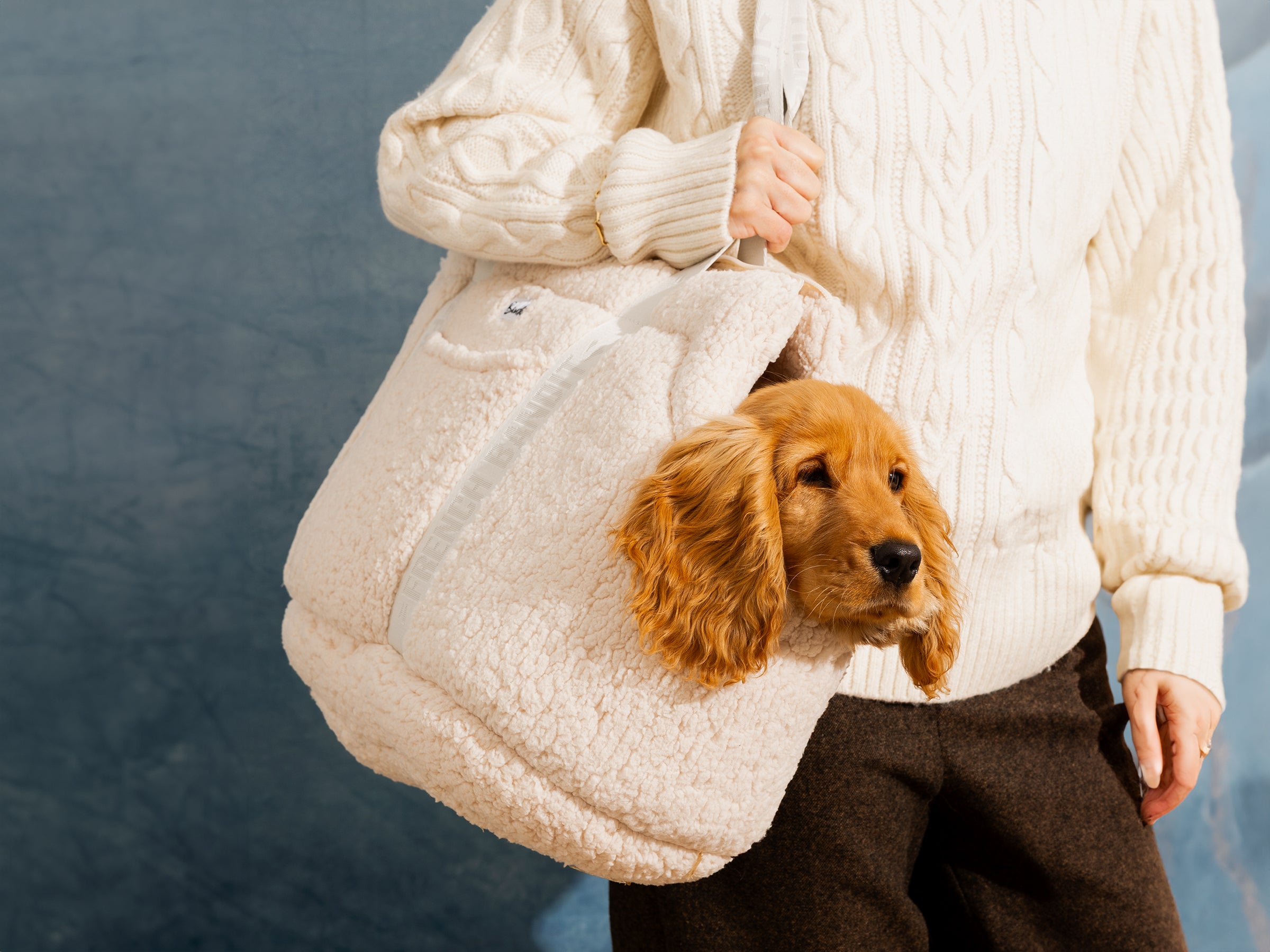 bandit-sac-transport-chien-sherpa-beige-xs-paule image 8