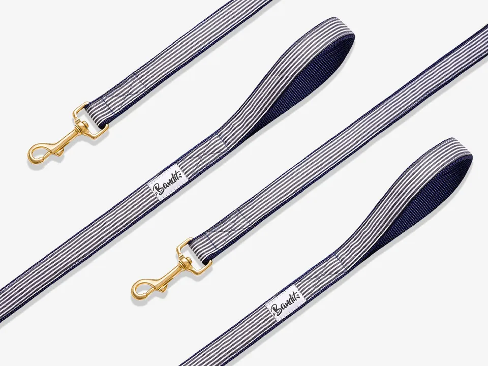 bandit-in-the-navy-laisse-chien-rayures-bleu-blanc-120-cm image 1