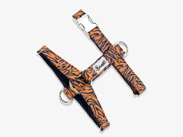 bandit-tigrrr-harnais-chat-tigr-orange-taille-chat image 1