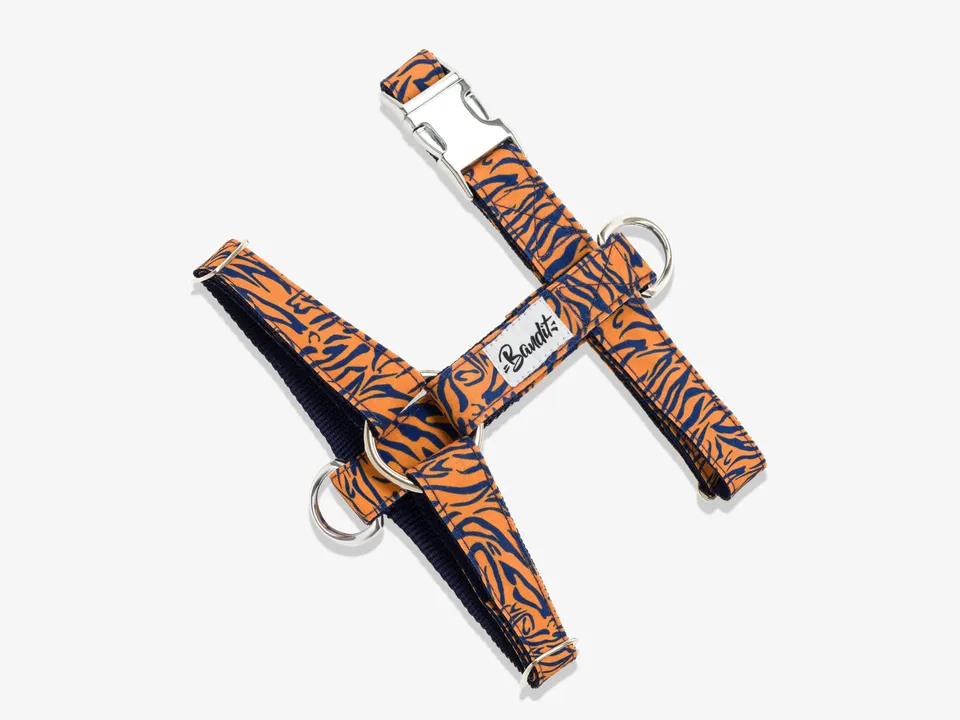 bandit-tigrrr-harnais-chat-tigr-orange-taille-chat image 1
