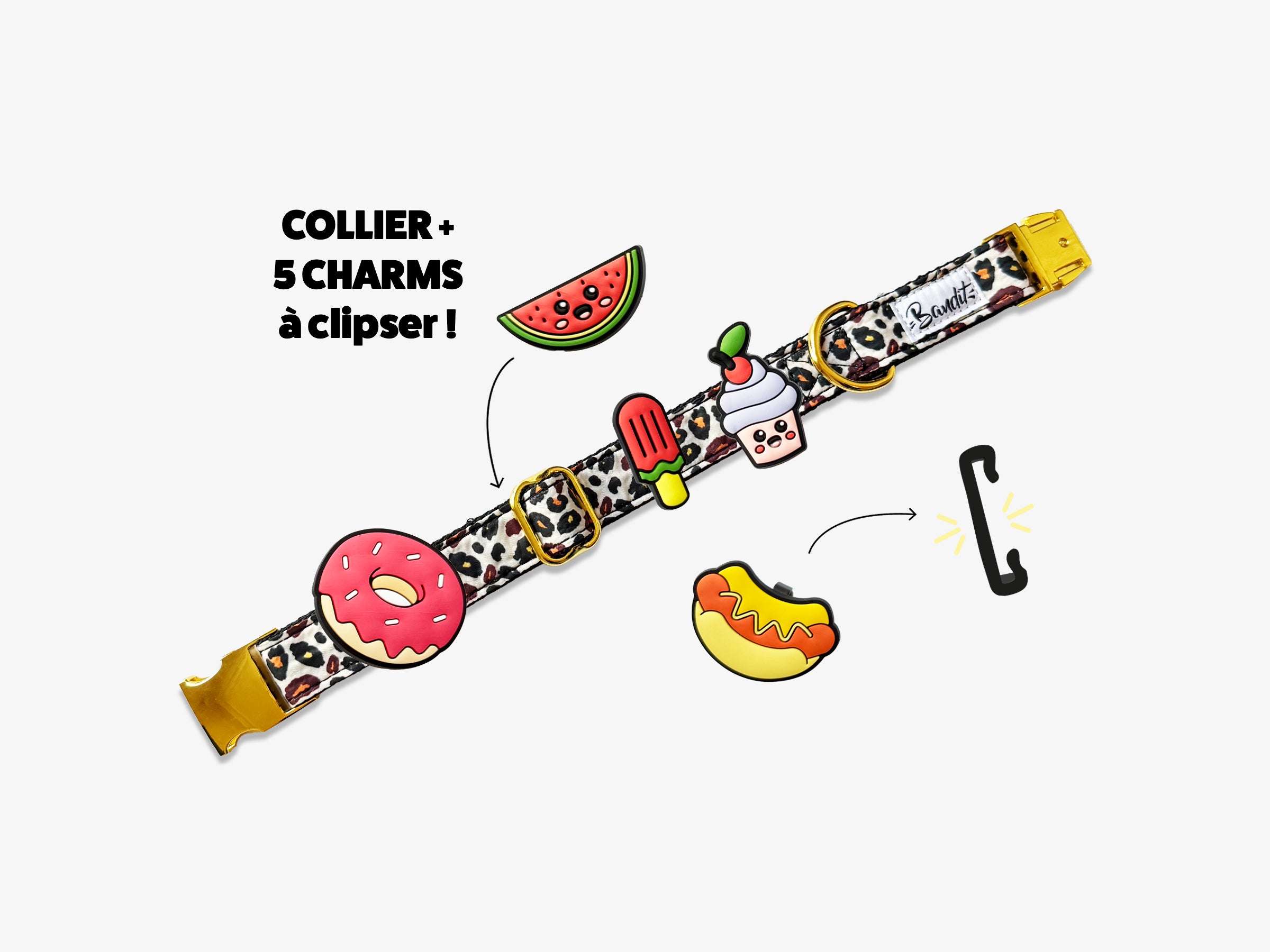 bandit-les-kits-collier-chien-5-charms-french-banban-moyen image 1