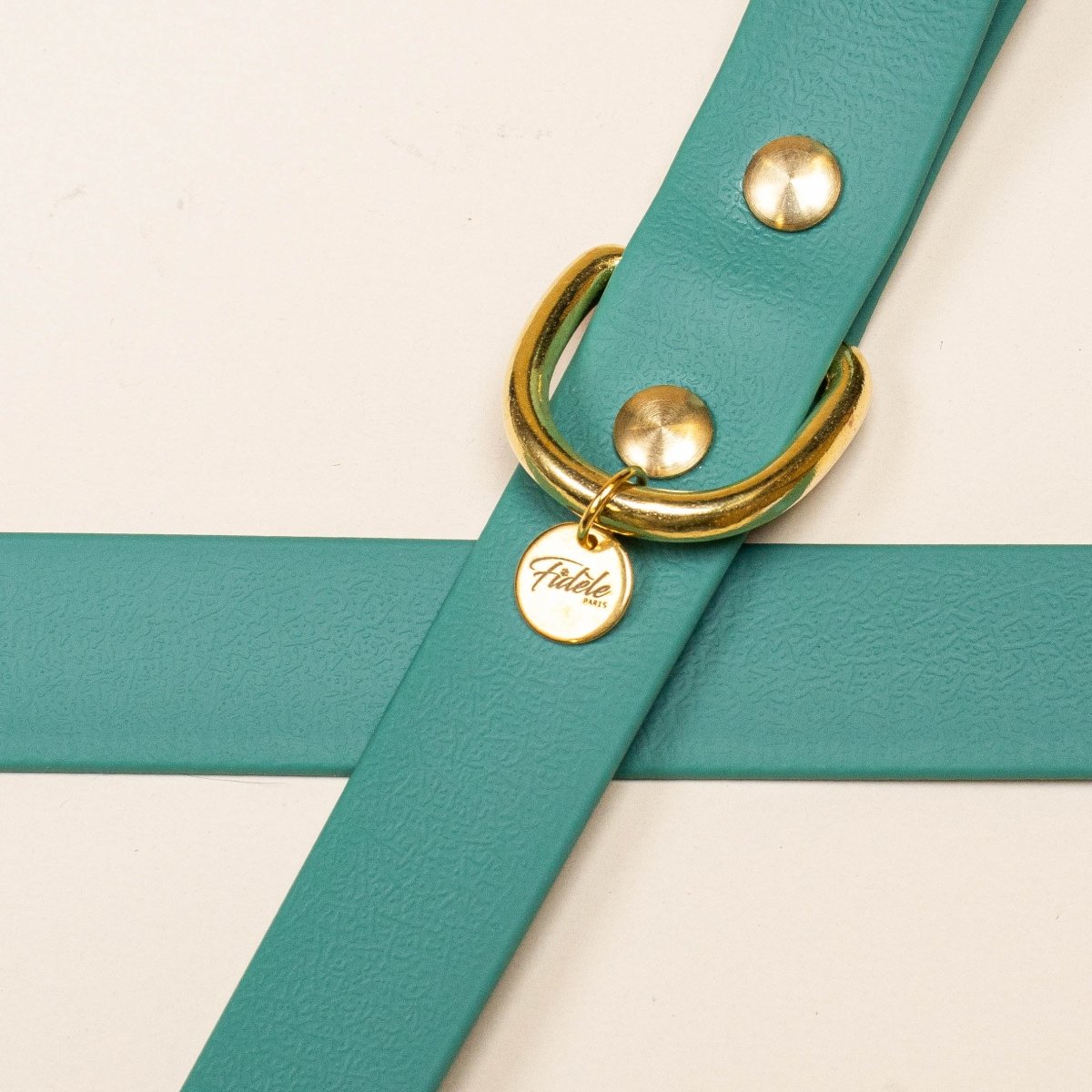 fid-le-paris-l-aventurier-collier-chien-vert-parisien-tpu image 3