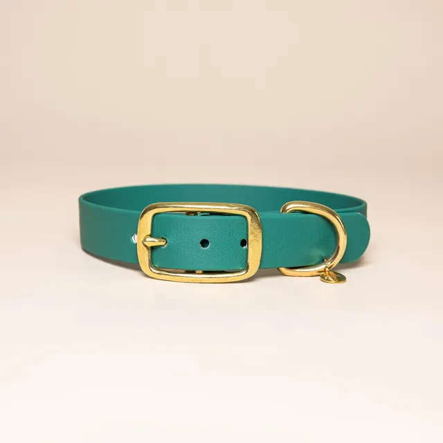 fid-le-paris-l-aventurier-collier-chien-vert-parisien-tpu image 1