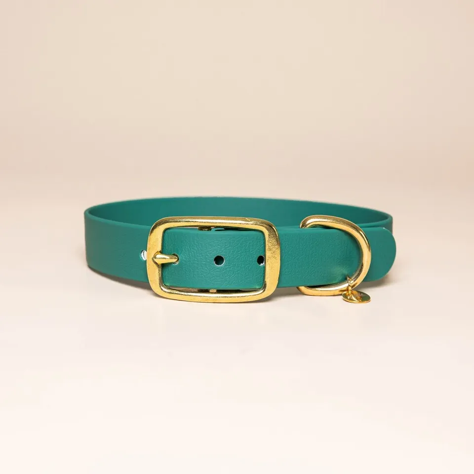 fid-le-paris-l-aventurier-collier-chien-vert-parisien-tpu image 1