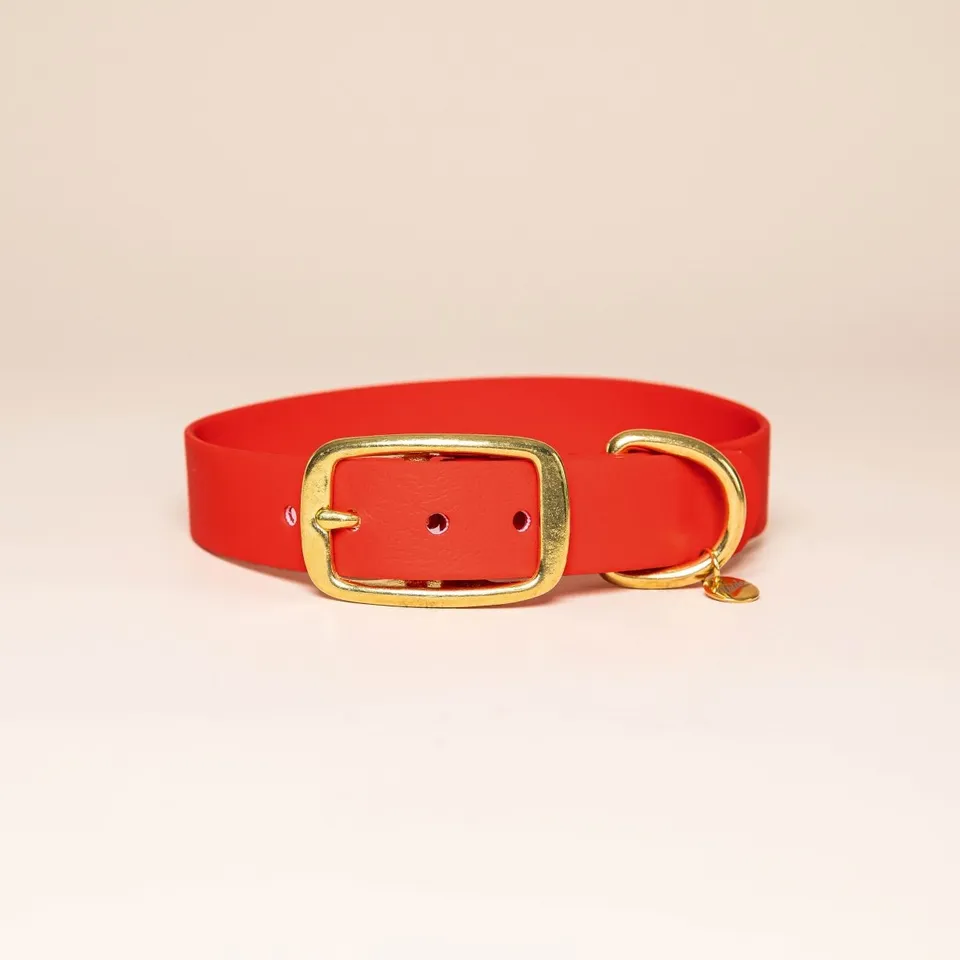 fid-le-paris-colliers-collier-chien-rouge-r-sistant image 1