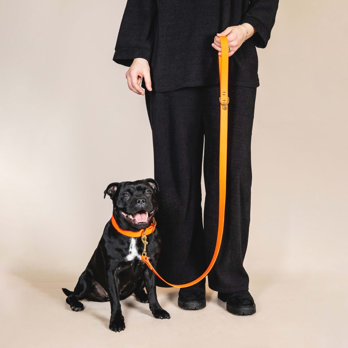 fid-le-paris-l-aventurier-laisse-chien-orange-fluo-20-mm image 2