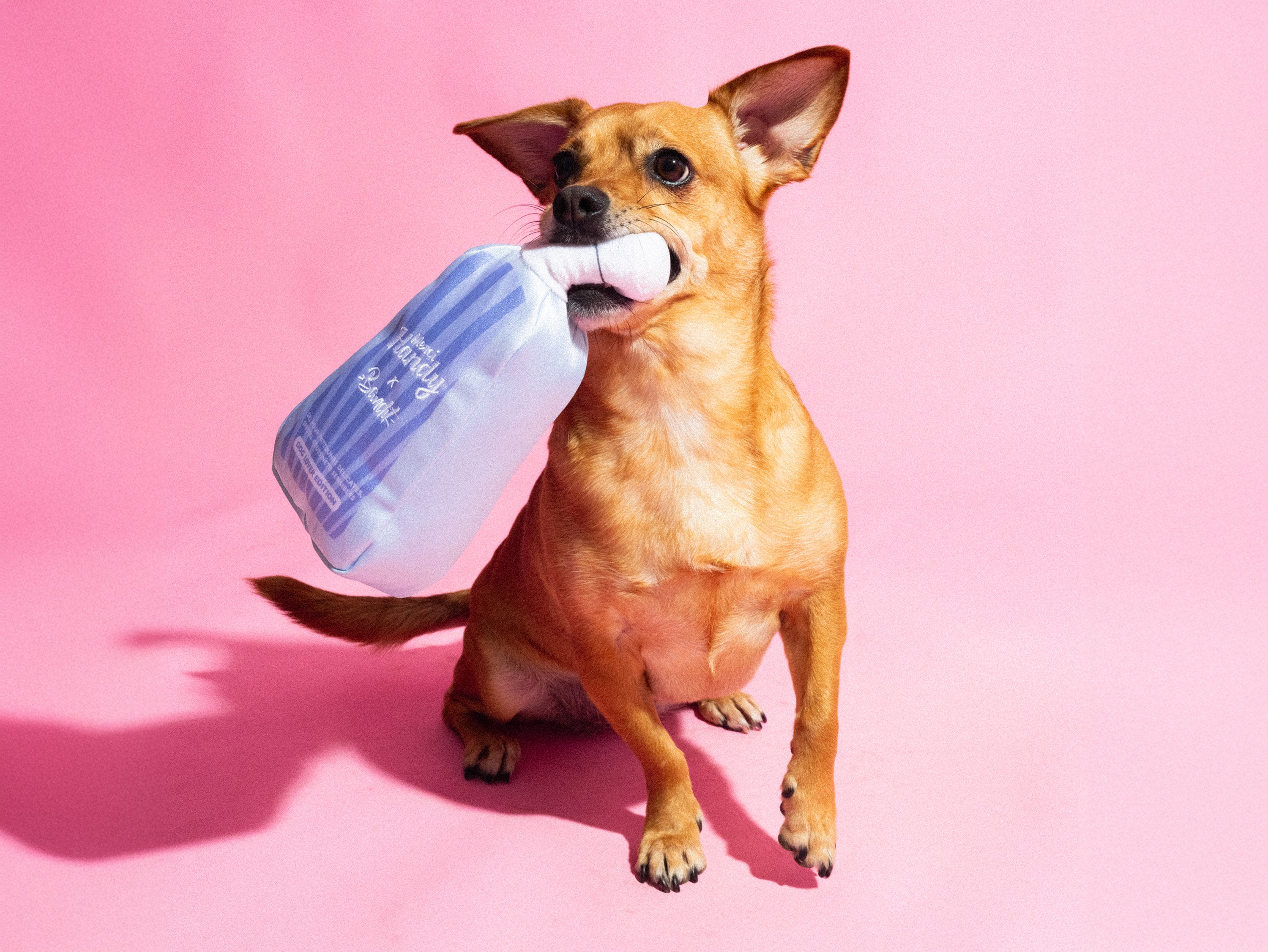 bandit-jouets-pour-chien-gel-merci-handy-jouet-peluche-pouic image 4