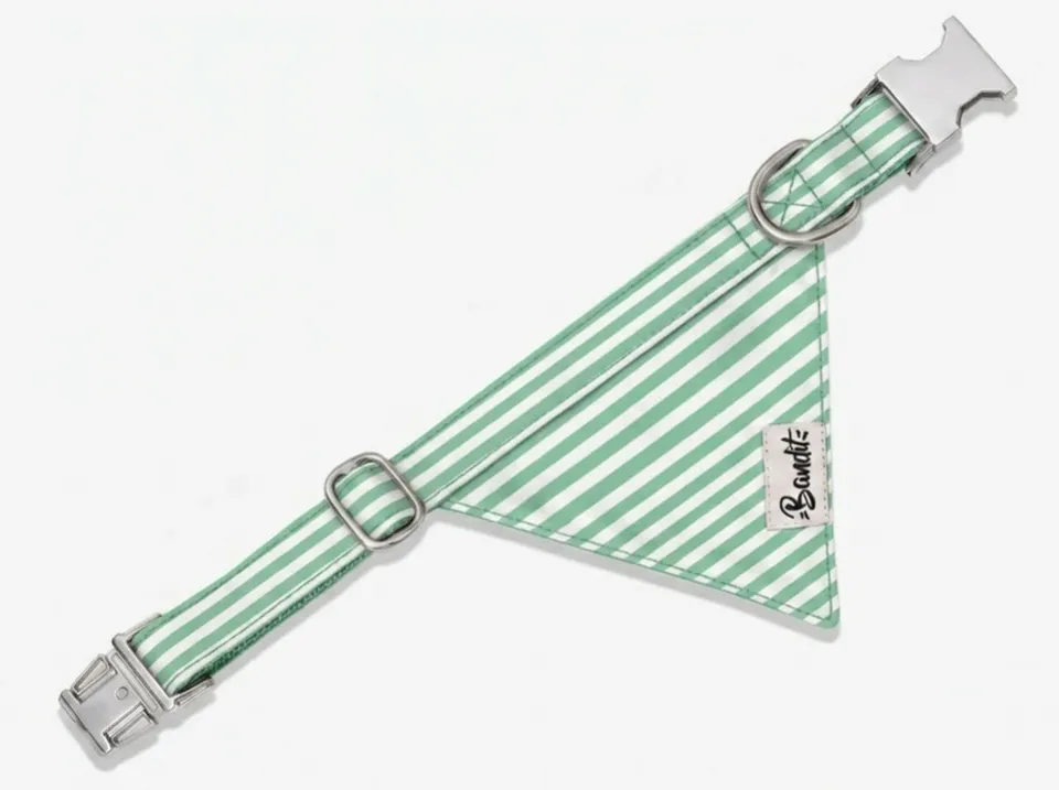 bandit-bandana-chien-ray-vert-menthe-blanc-coton-l-ger image 1