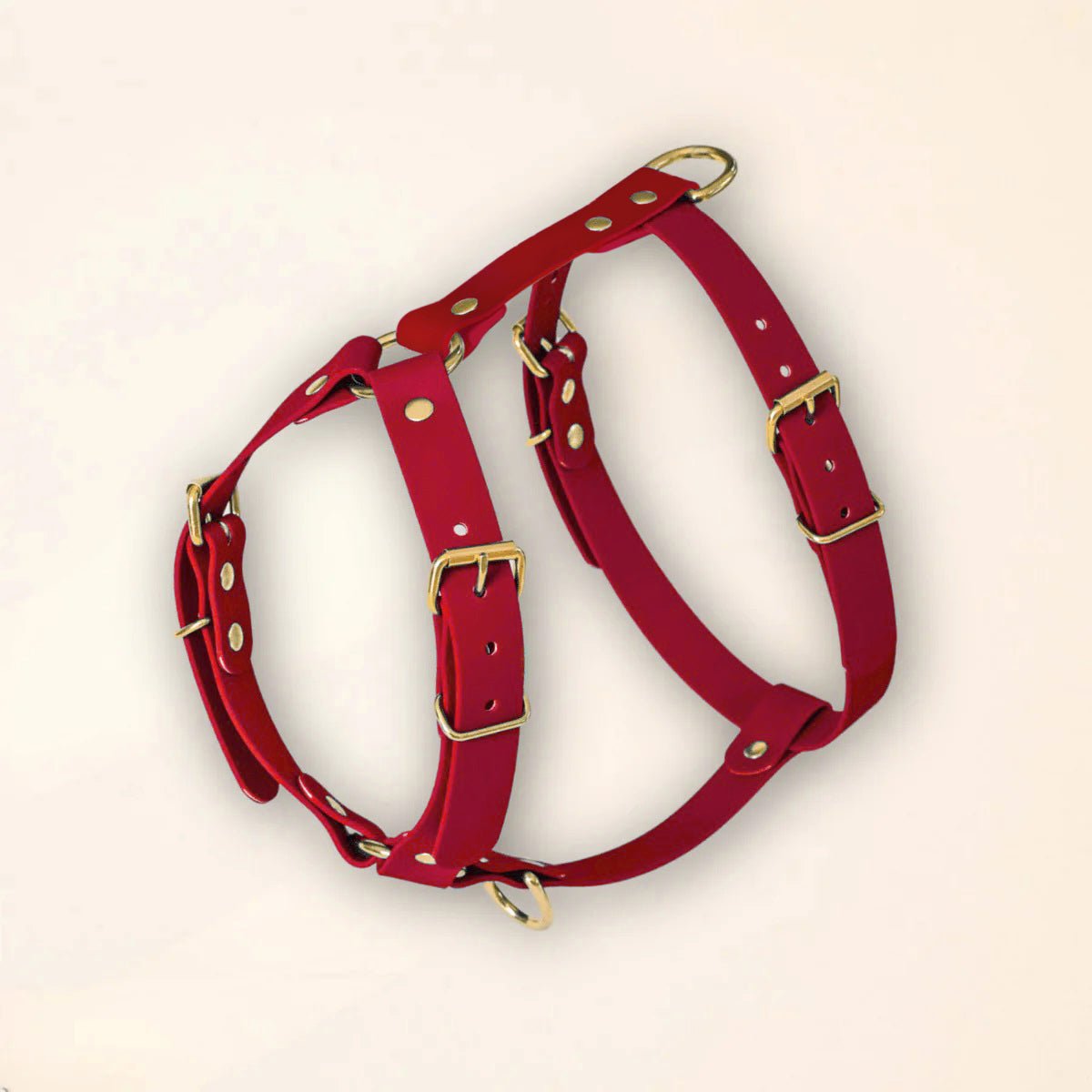 fid-le-paris-bordeaux-harnais-chien-bordeaux-imperm-able image 1