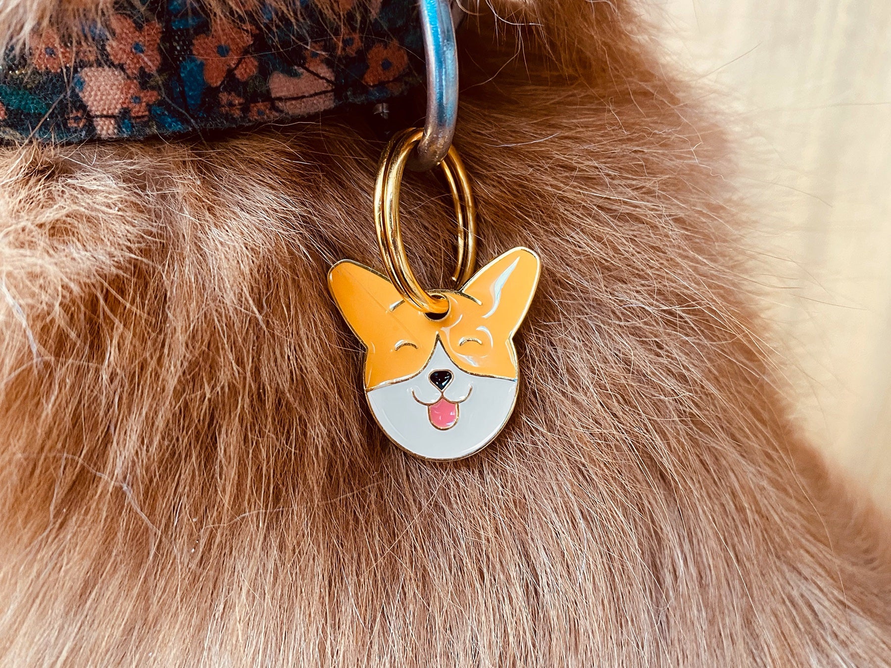 bandit-m-daille-chien-corgi-m-daille-gravable image 2