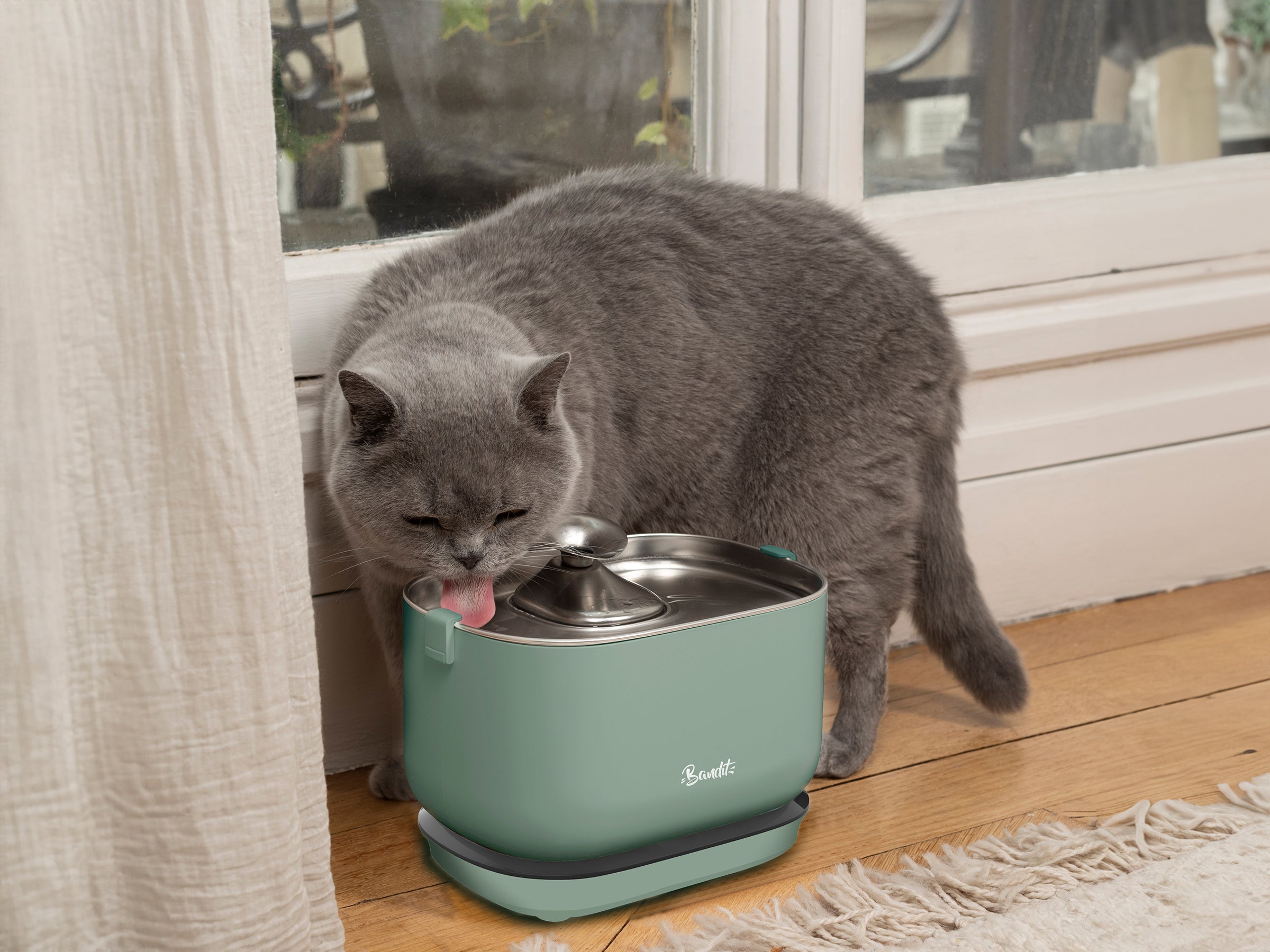 bandit-les-kits-fontaine-sans-fil-fontaine-chat-verte-4-filtres-inox-2-5l image 2