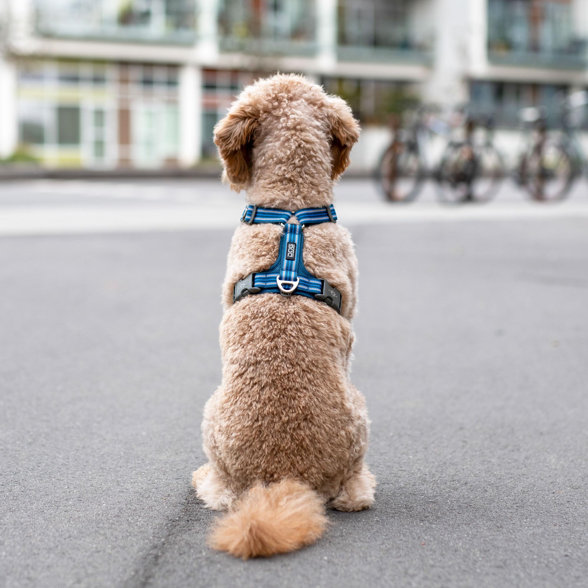 dog-copenhagen-comfort-walk-air-3-0-harnais-hunting-green-xs image 8