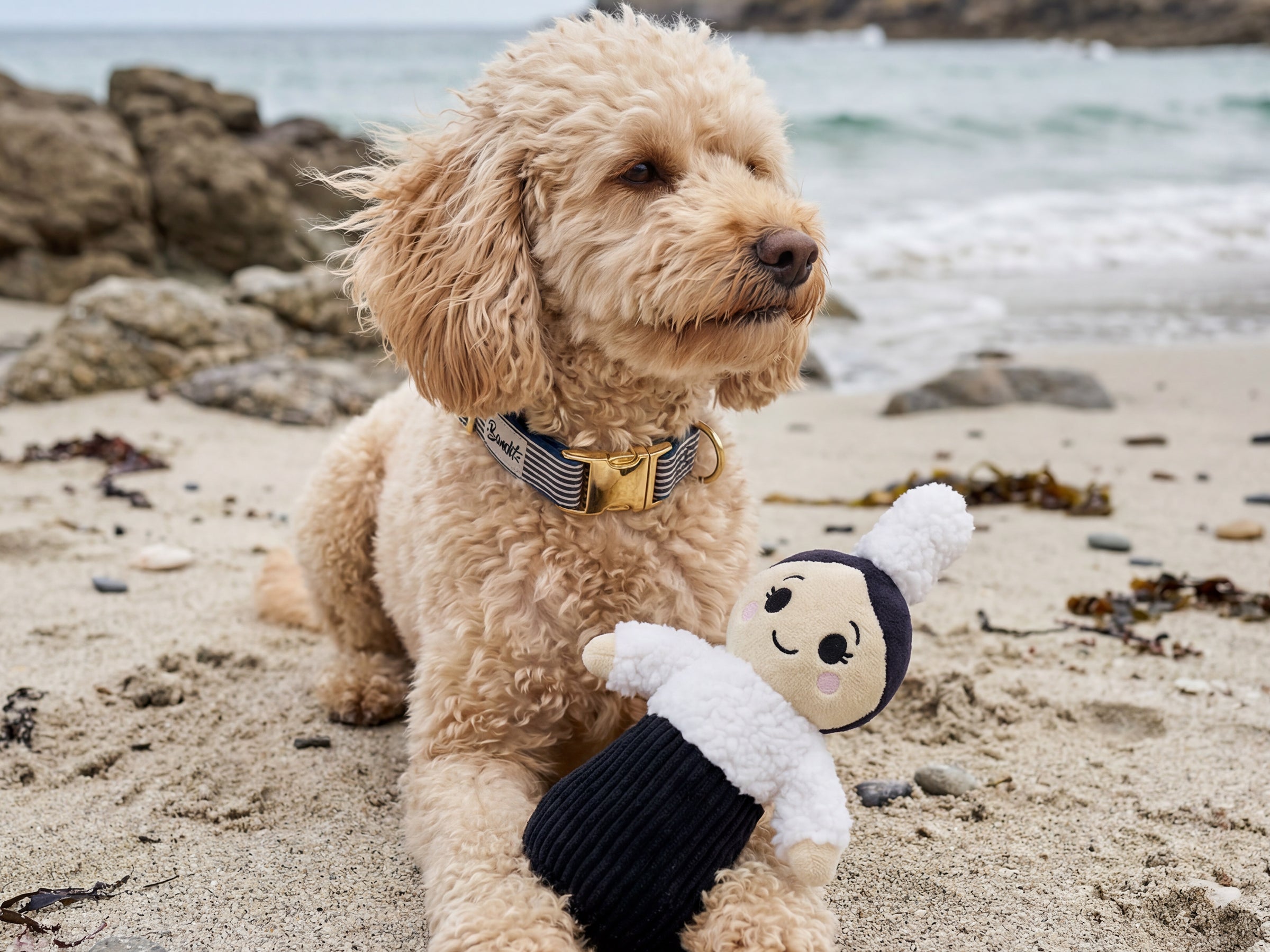 bandit-jouet-bigoud-ne-peluche-chien-couineur-mam-breizh image 3