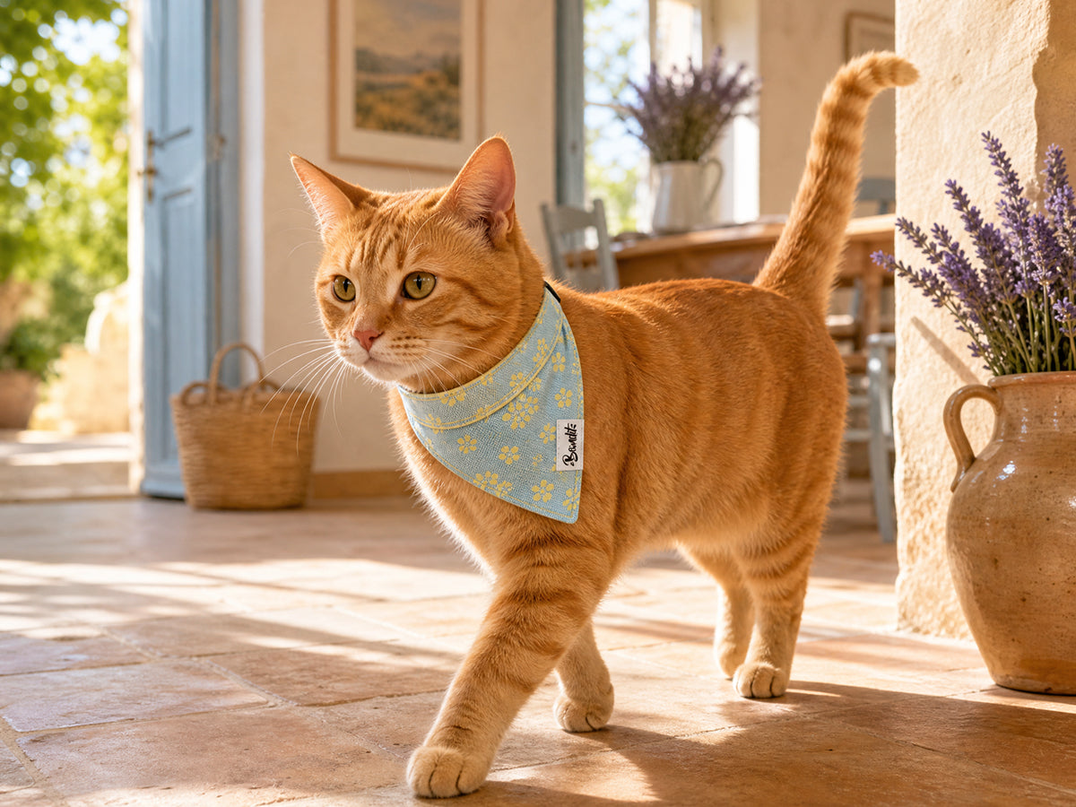 bandit-bandanas-mimosa-bandana-chat-jean-fleurs-jaunes image 2