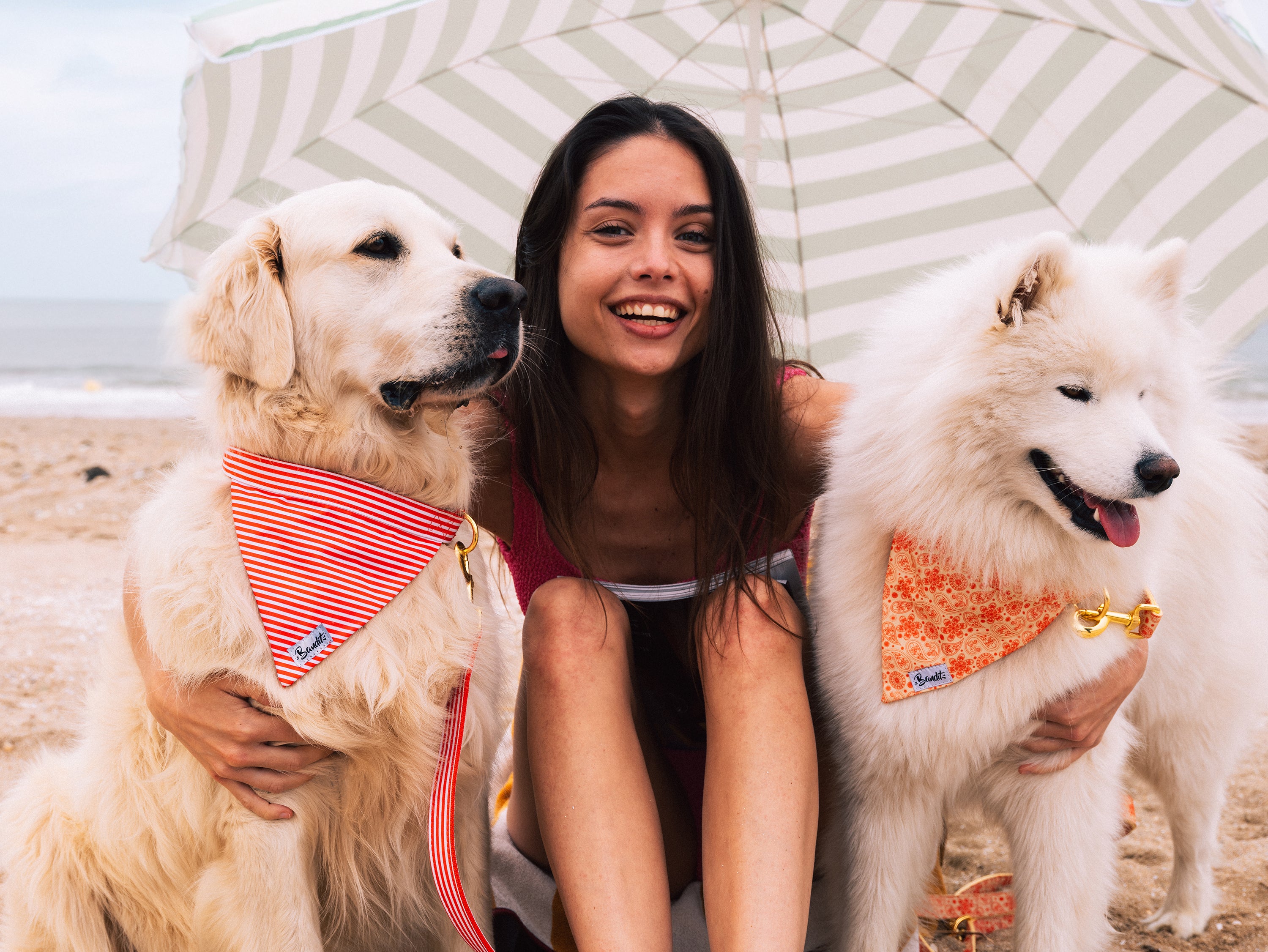 bandit-bandana-chien-paisley-jaune-golden-vibe-coton-l-ger image 3