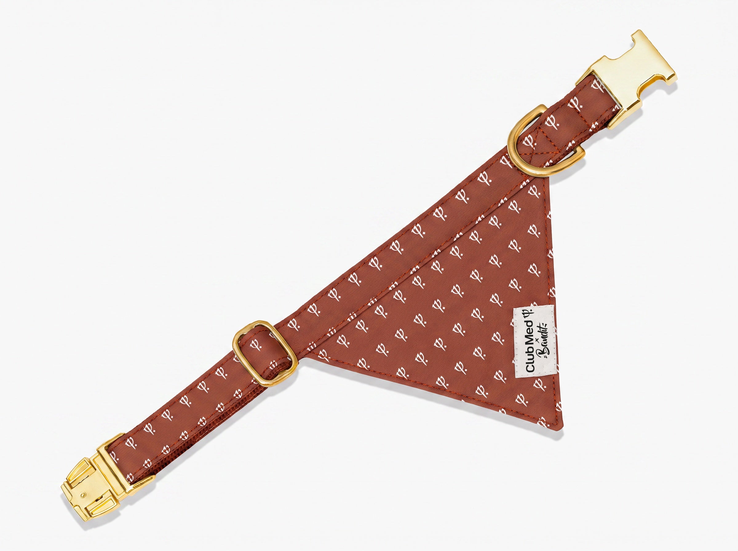 bandit-bandana-chien-club-med-lavande-collier image 5