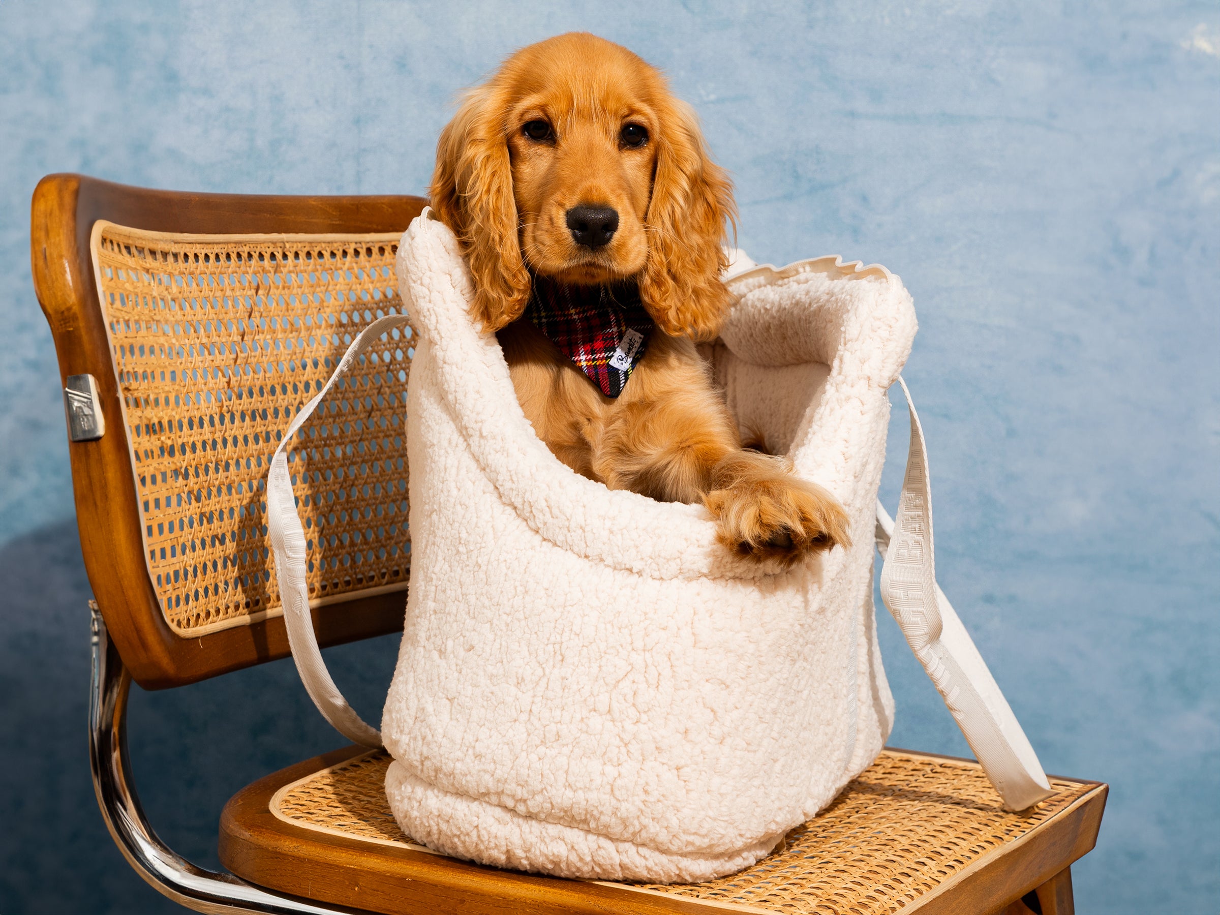 bandit-sac-transport-chien-sherpa-beige-xs-paule image 3