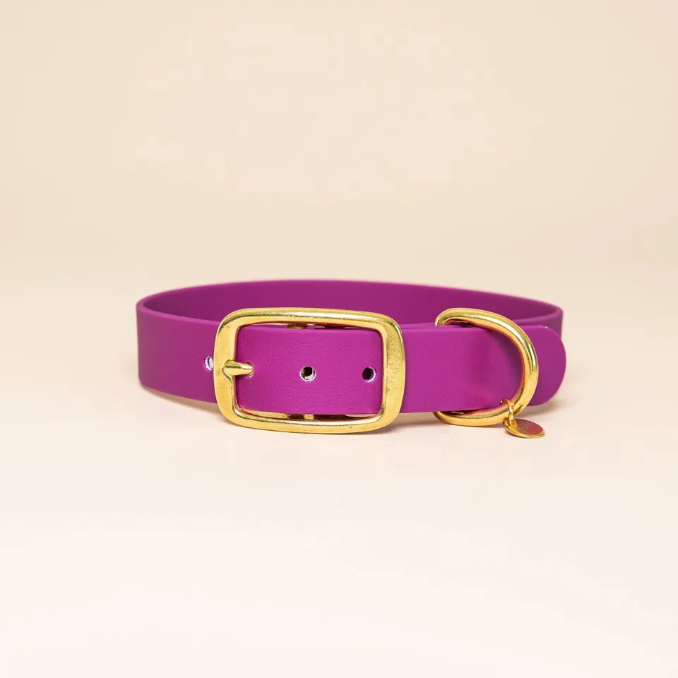 fid-le-paris-aventurier-collier-chien-rose-fuchsia-s-28-34-cm image 1