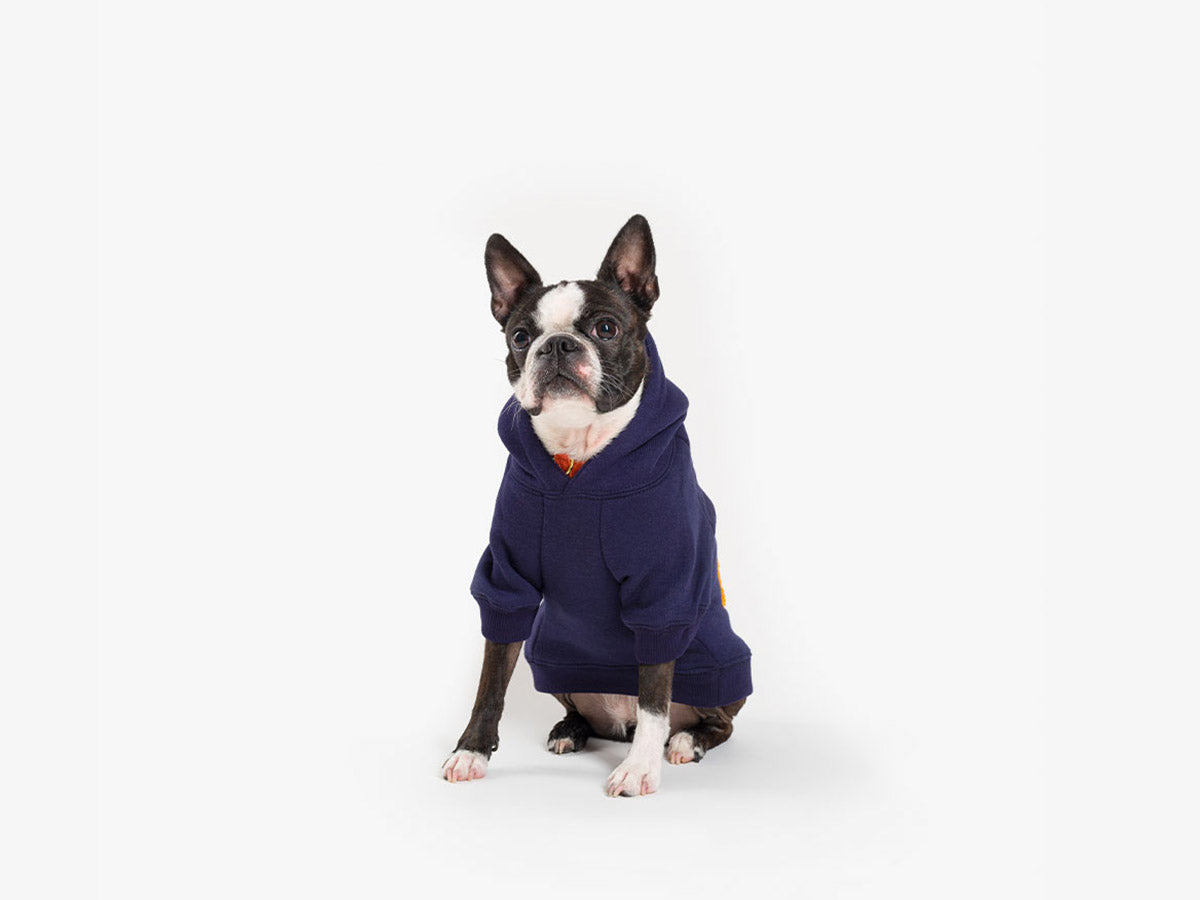 bandit-cool-dog-club-sweat-pour-chien-capuche-bleu-marine image 3
