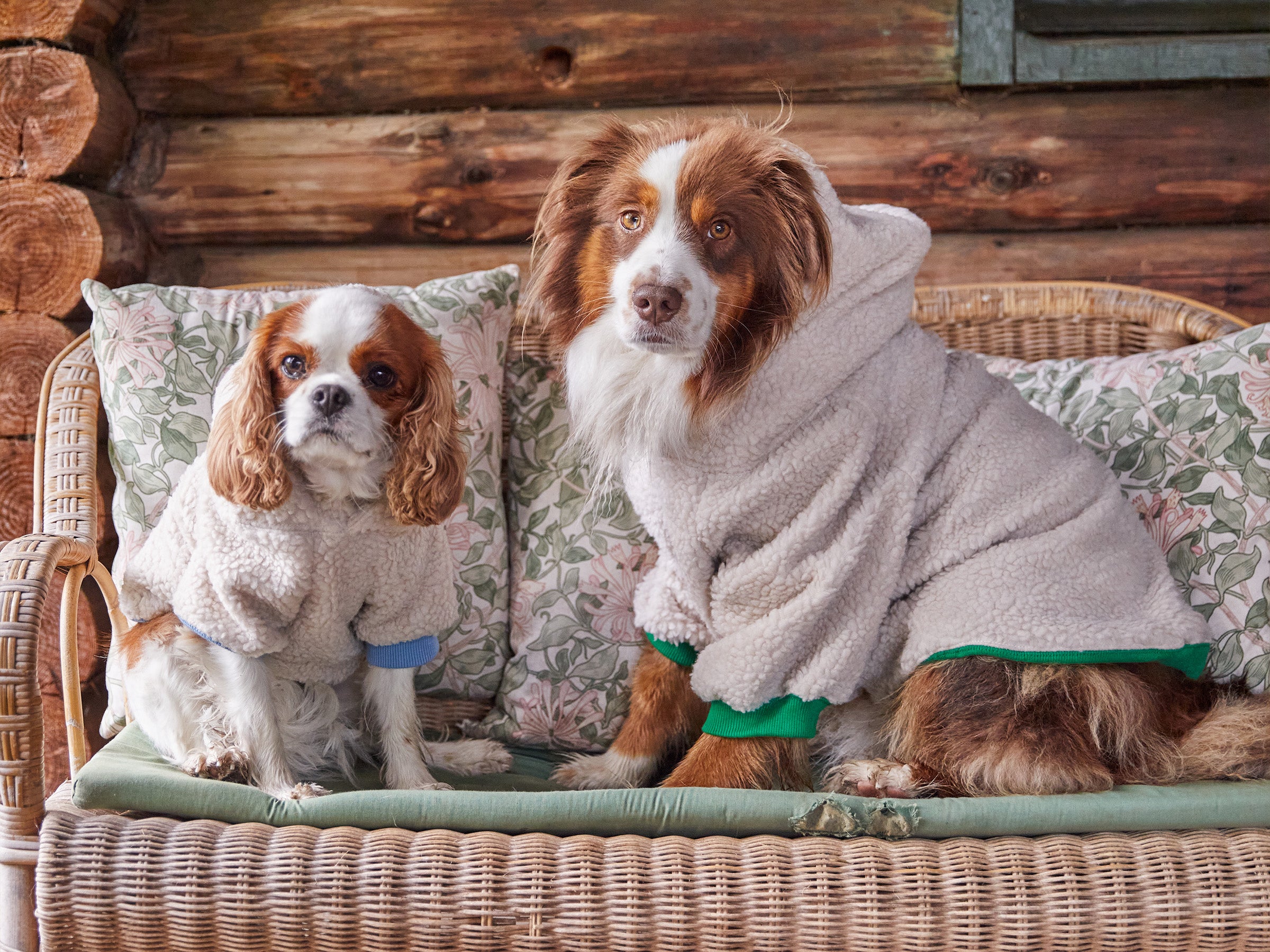 bandit-v-tements-hoodie-sherpa-pull-chien-bleu-everest-m-chaud image 7