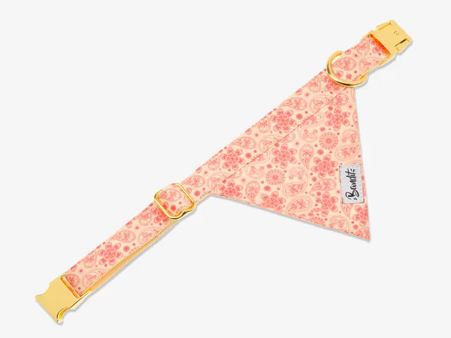 bandit-bandana-chien-paisley-jaune-golden-vibe-coton-l-ger image 1