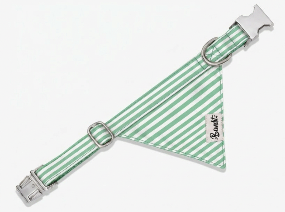 bandit-bandana-chien-ray-vert-menthe-blanc-coton-l-ger image 1