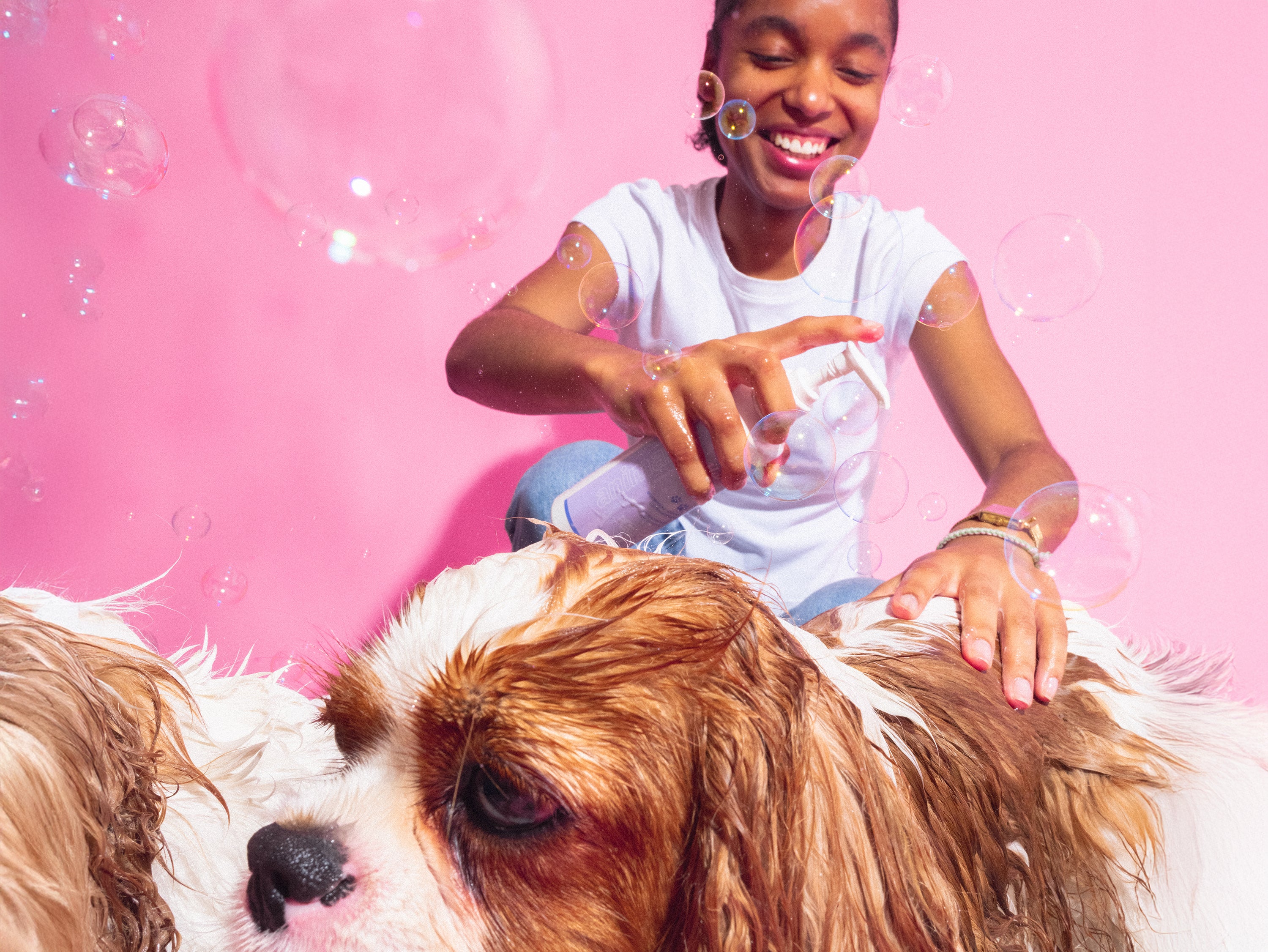 bandit-x-merci-handy-shampoing-chien-250-ml-figue image 2
