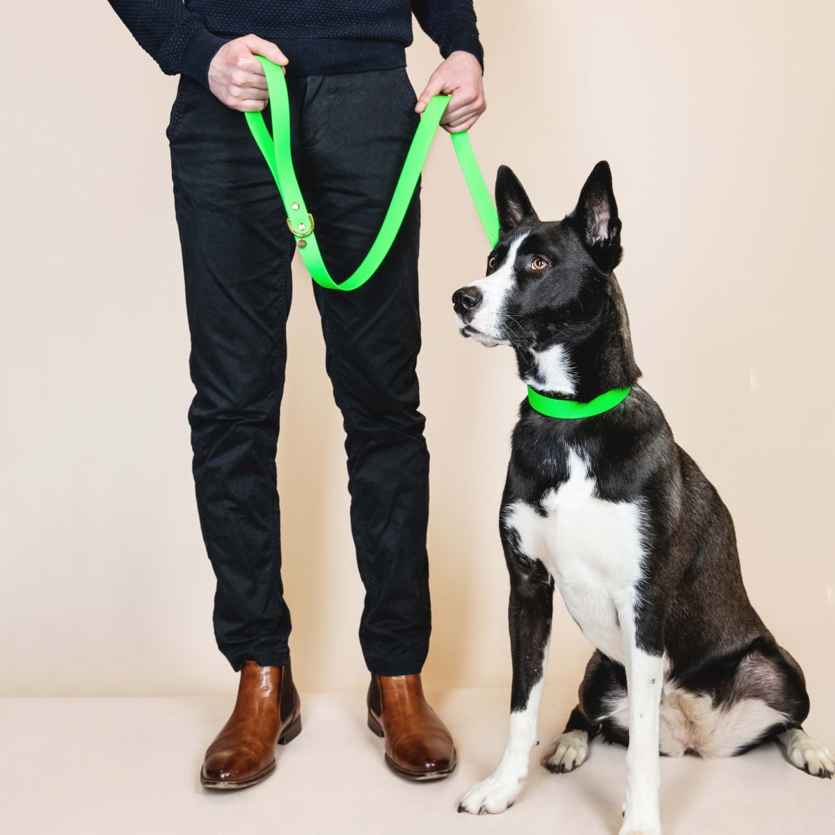 fid-le-paris-l-aventurier-laisse-chien-vert-fluo-imperm-able image 2