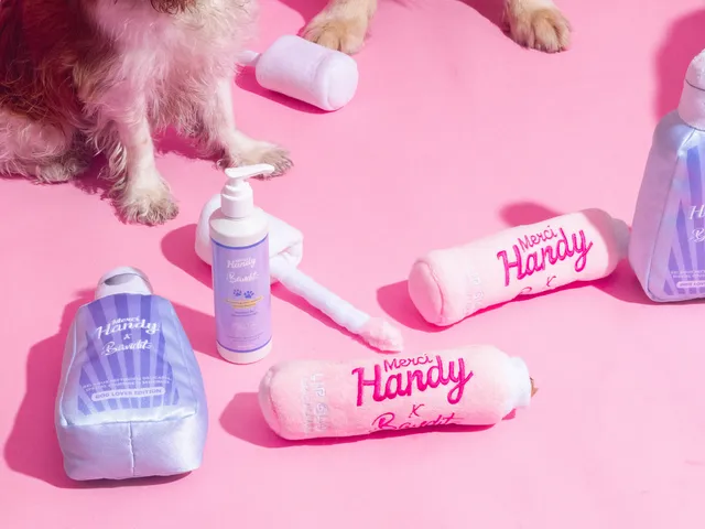bandit-x-merci-handy-kit-jouets-pour-chien-peluche image 1