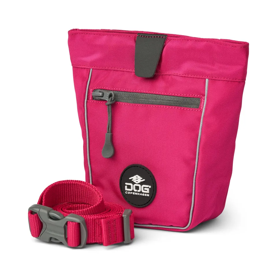dog-copenhagen-go-explore-sac-friandises-wild-rose-taille-unique image 1