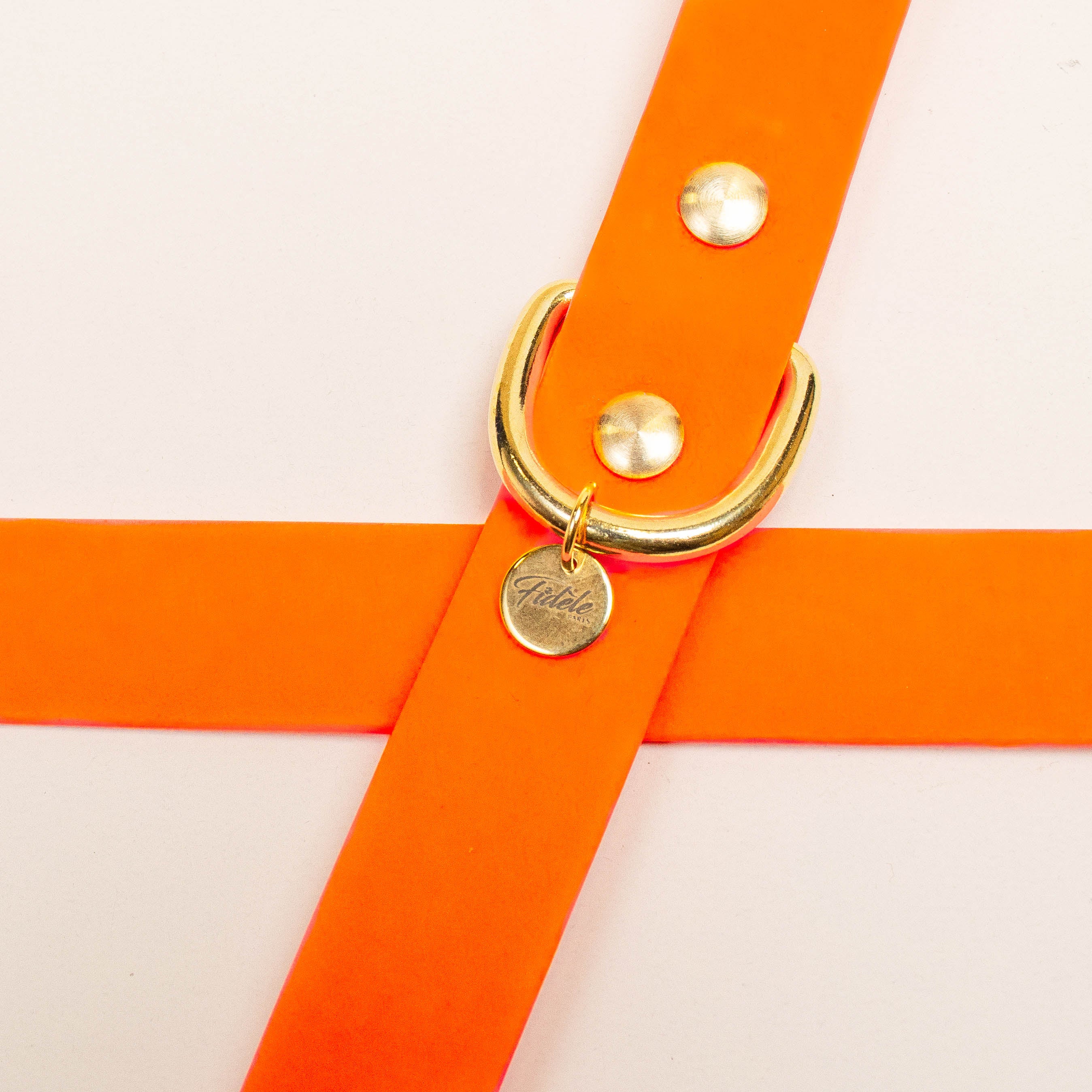 fid-le-paris-l-aventurier-collier-chien-orange-fluo-imperm-able image 3