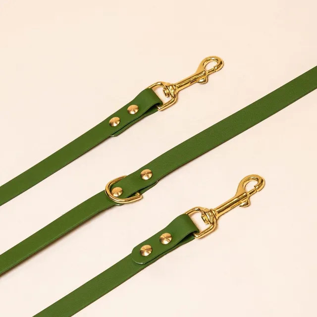 fid-le-paris-multi-positions-laisse-chien-vert-olive image 1