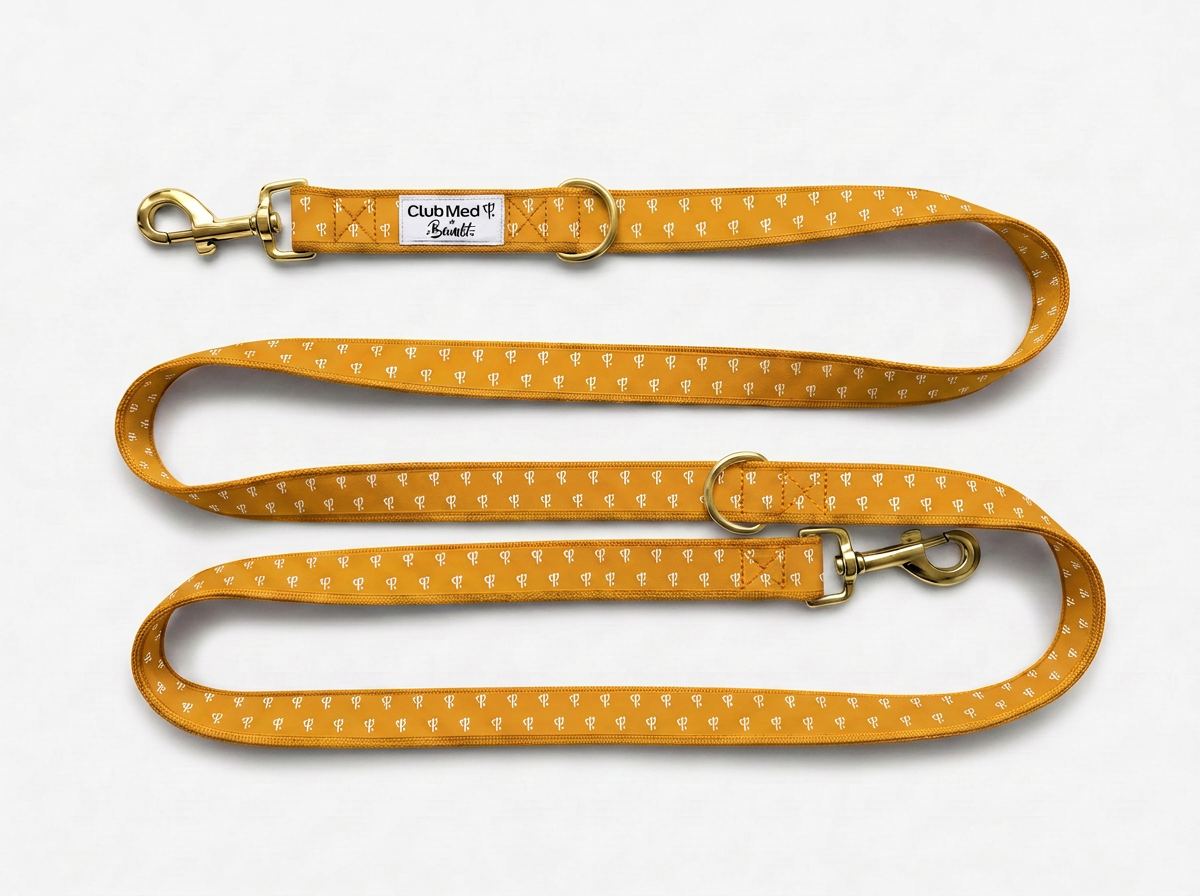 bandit-club-med-laisse-chien-bleu-lavande-120-cm-2-5-cm image 2