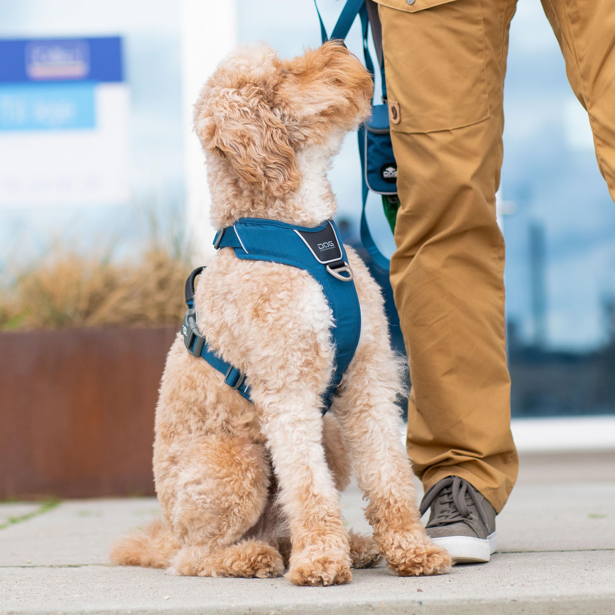 dog-copenhagen-comfort-walk-pro-3-0-harnais-purple-passion-l image 8