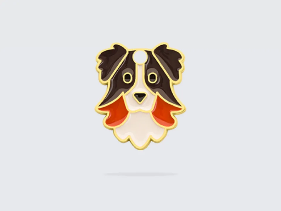 bandit-m-daille-berger-chien-aussie-personnalit-malice image 1