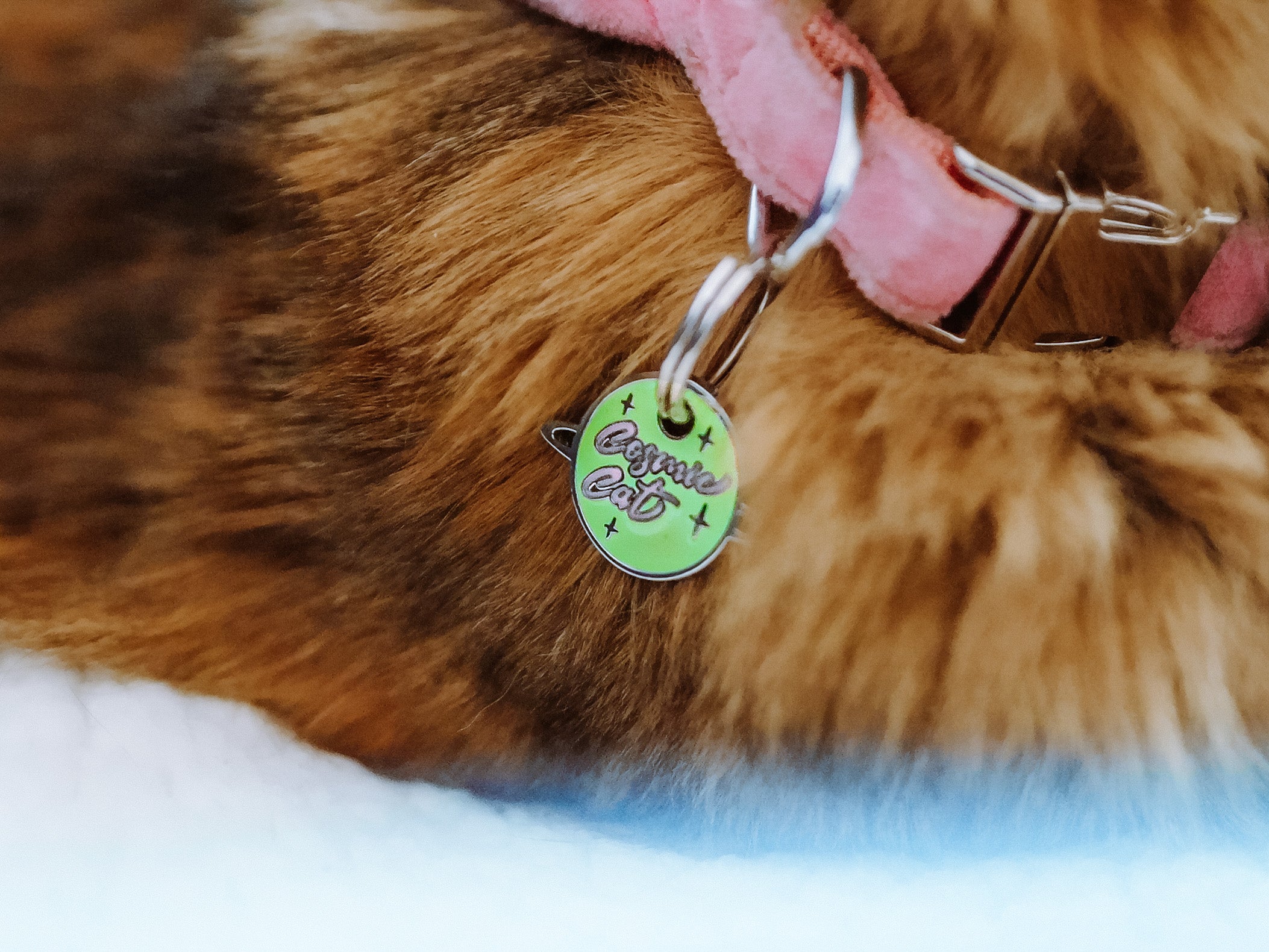 bandit-phosphorescente-m-daille-chat-brille-dans-le-noir image 3