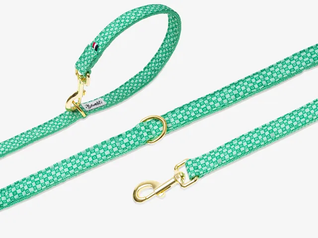bandit-green-vibes-laisse-chien-carreaux-vert-120-cm image 1