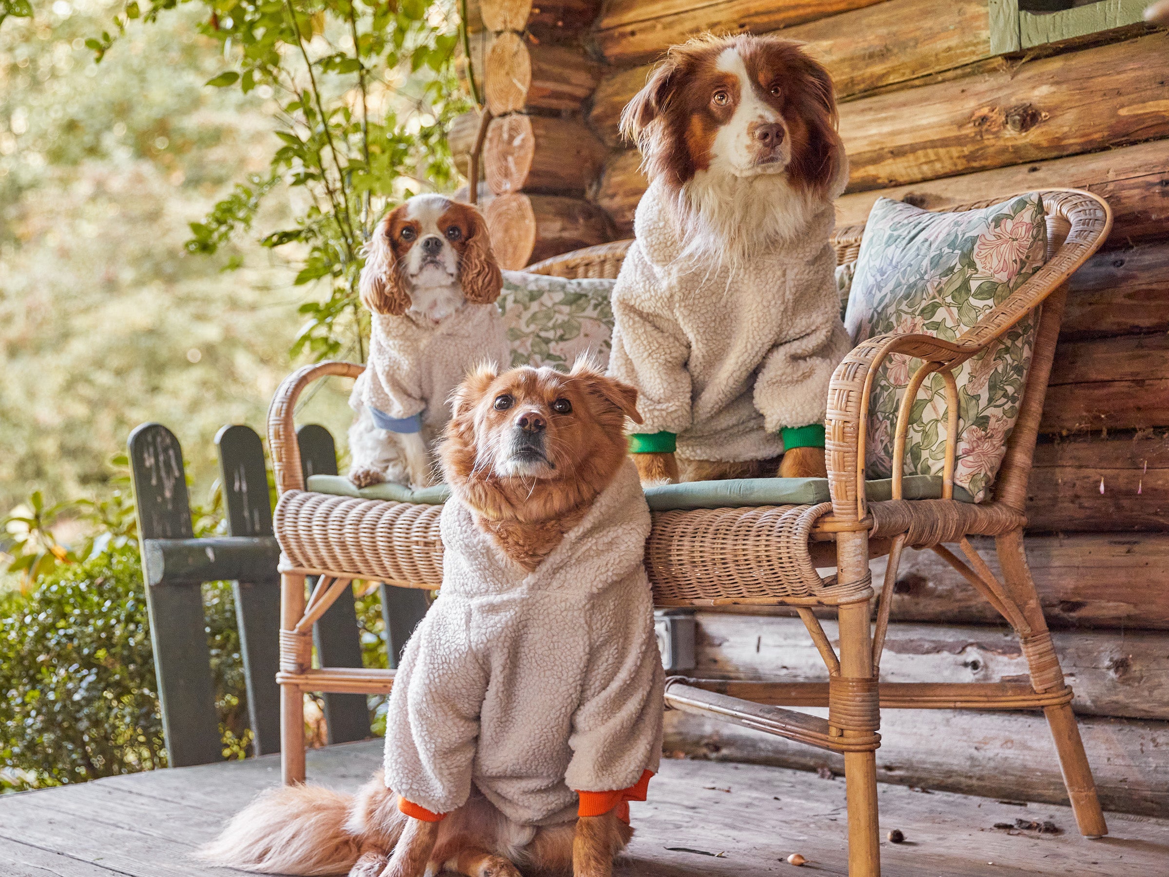 bandit-v-tements-hoodie-sherpa-pull-chien-bleu-everest-m-chaud image 3