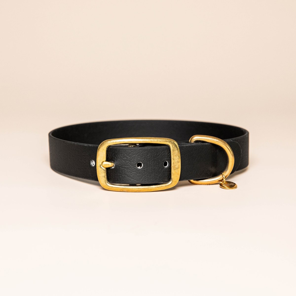fid-le-paris-collier-chien-noir-l-aventurier-taille-m image 1