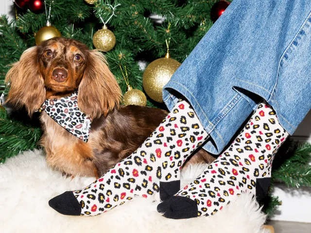 bandit-match-matchy-chaussettes-wild-wild-wouf-39-43-coton image 1