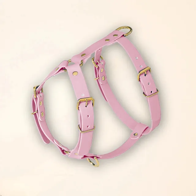 fid-le-paris-harnais-chien-lilas-y-tpu-tanche-lilas image 1