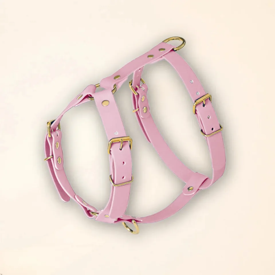 fid-le-paris-harnais-chien-lilas-y-tpu-tanche-lilas image 1