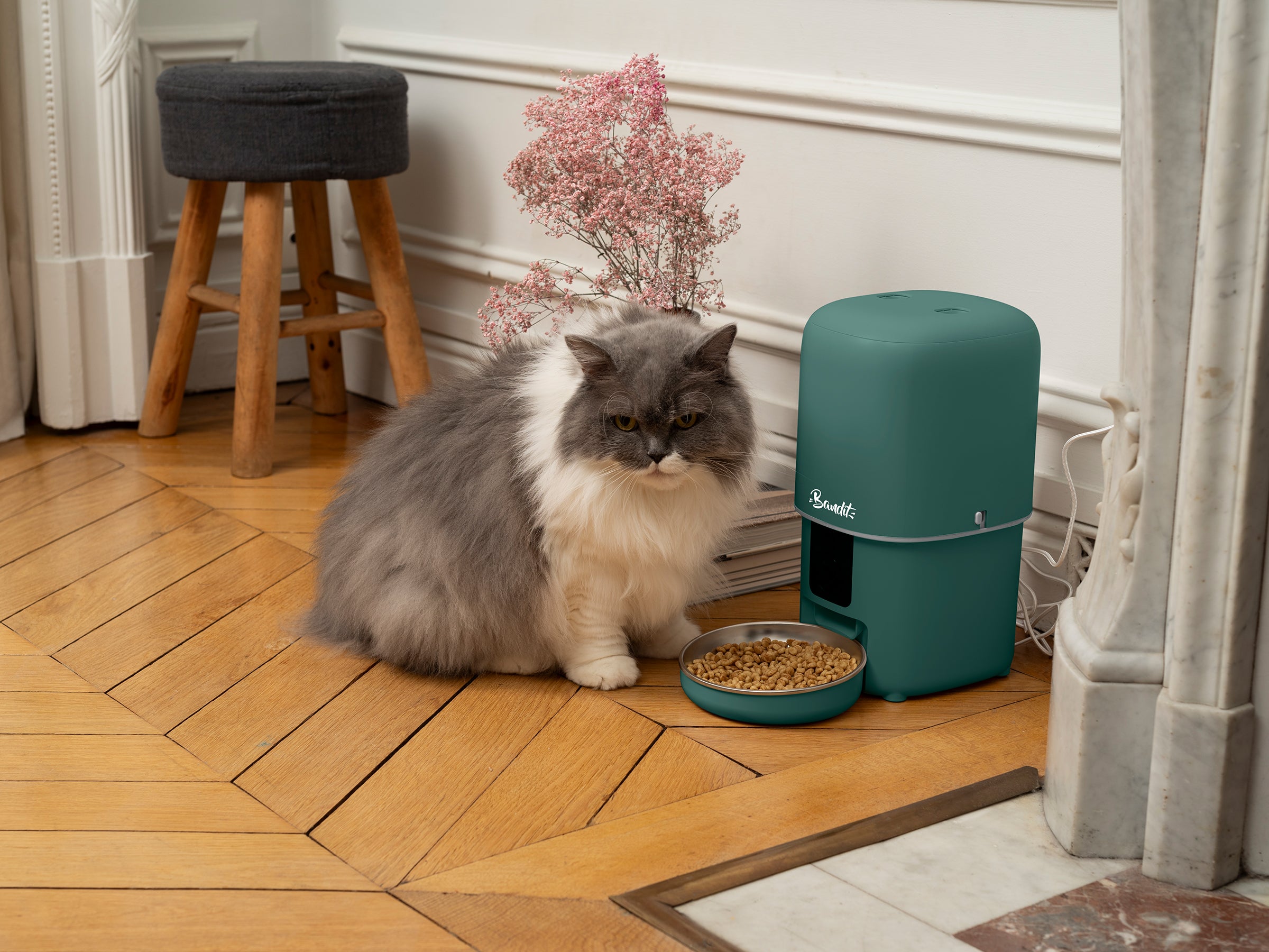 bandit-distributeur-croquettes-intelligent-4l-cam-ra-vert image 3