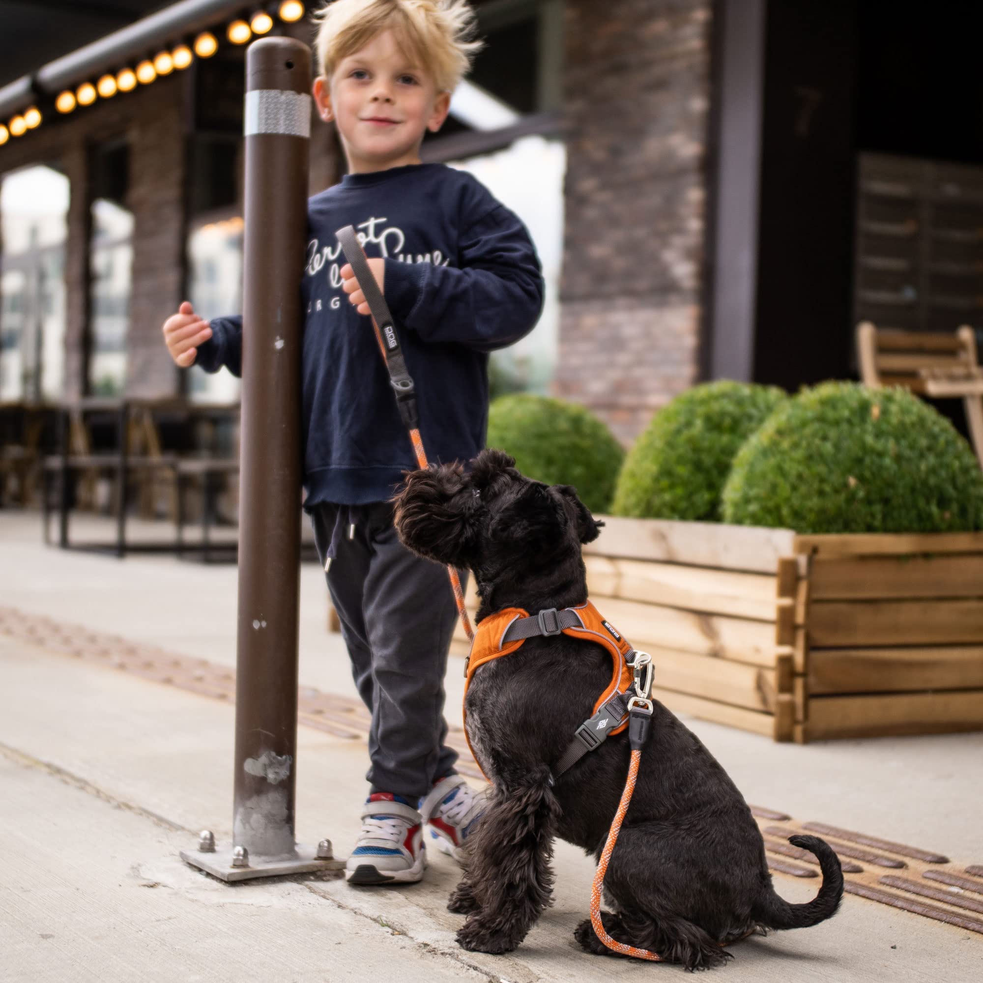 dog-copenhagen-comfort-walk-pro-harnais-orange-sun-l-anti-traction image 8