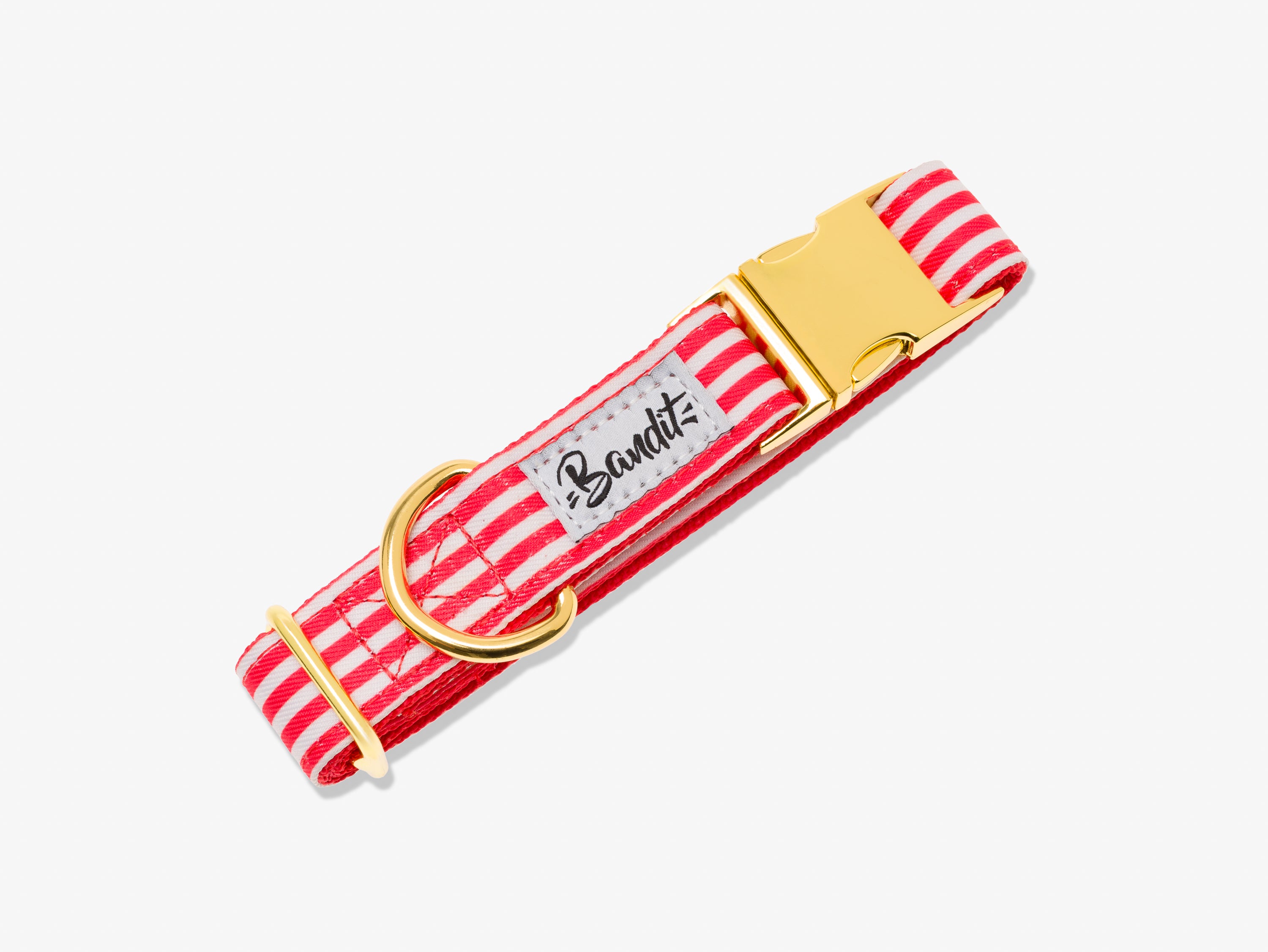 bandit-les-kits-collier-laisse-pochette-chien-moyen-the-french-banban-120cm image 2
