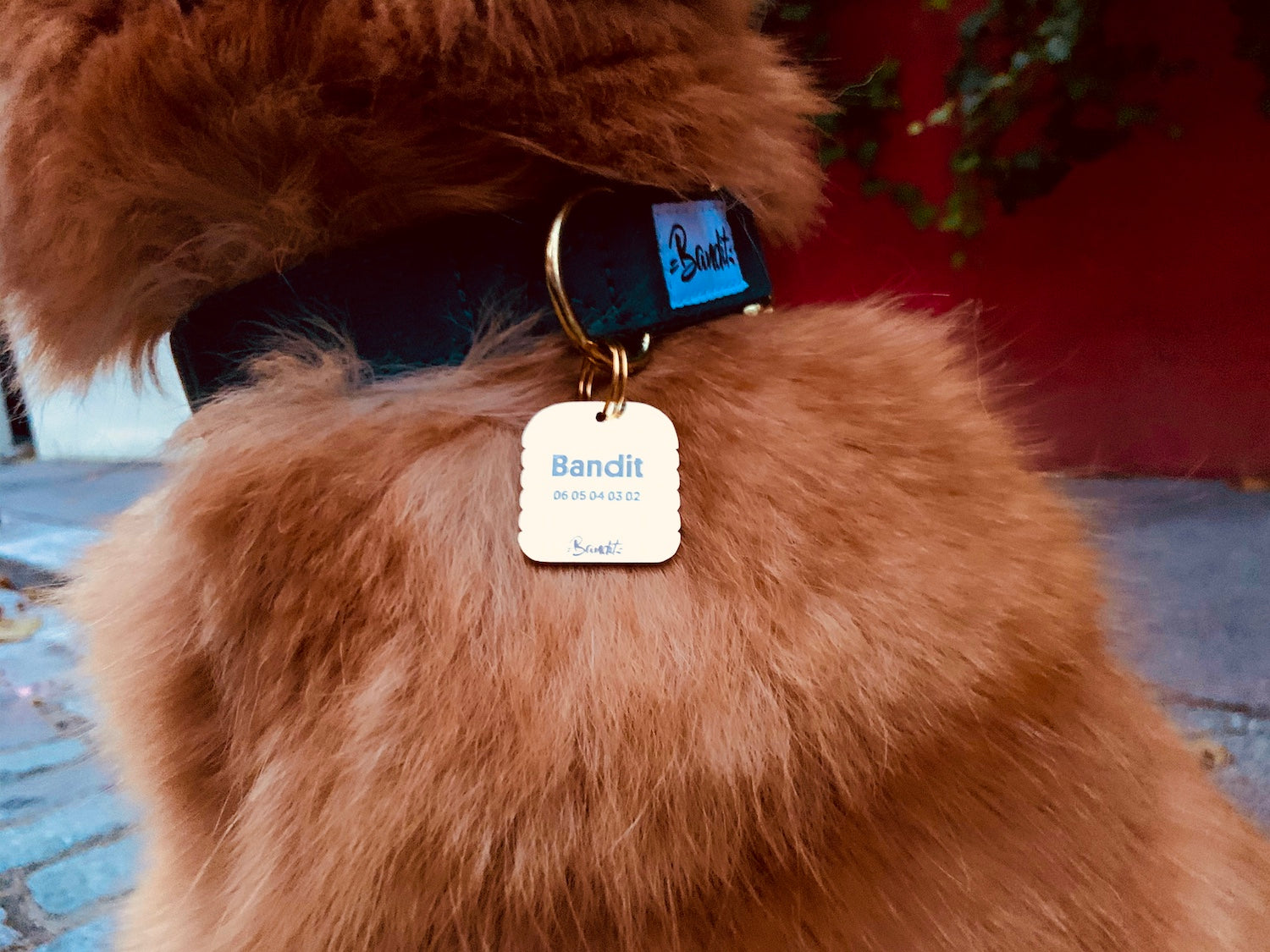 bandit-m-daille-burger-m-daille-chien-standard-3-cm image 6